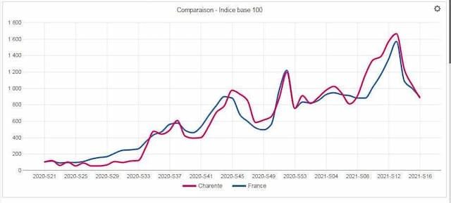 Evolution of the number of tests in Charente, based on 100 (pink curve)