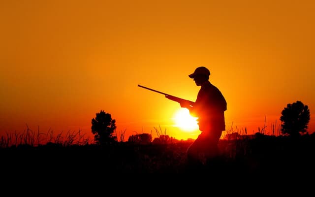 Court of Auditors investigates the public money to hunters in France