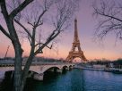 Living in Paris: The City of Romance and Culture