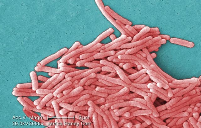 Legionnaires Disease: A Second Person Died in Savoie