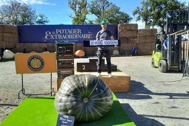 Large vegetables on show in the Vendee