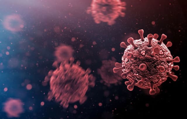 Covid-19: Should we be Worried About the Arrival of the New Variant with the Sweet Name “Frankenstein”?