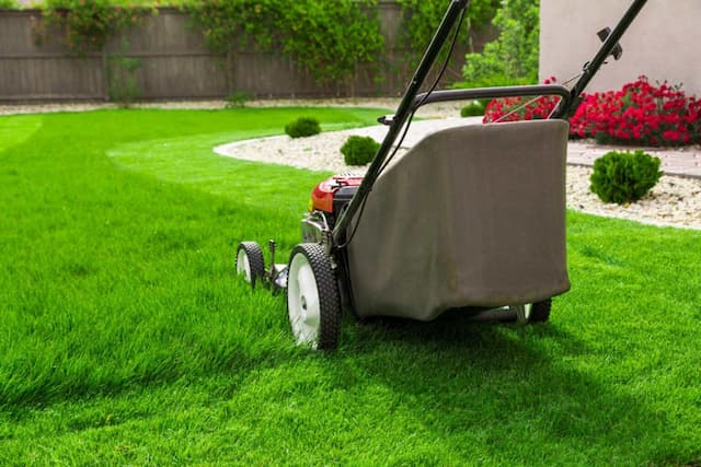 “I thought I Could Wait”: That Last Lawn Mowing that Many Forget in September 1 “I thought I Could Wait”: That Last Lawn Mowing that Many Forget in September