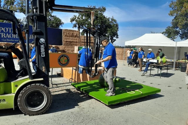 Each vegetable is weighed and measured