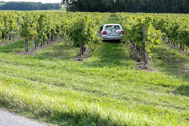 An Elderly Motorist Dies when Leaving the Road in Segonzac