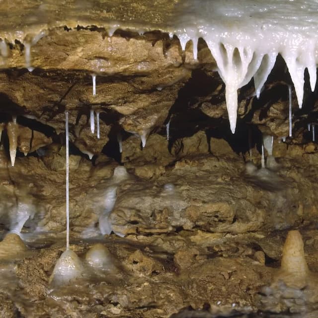 Brief Guide to Poitou-Charentes 5 Les Grottes de la Norée