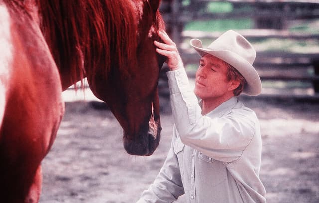 Robert Redford - Horse Whisperer