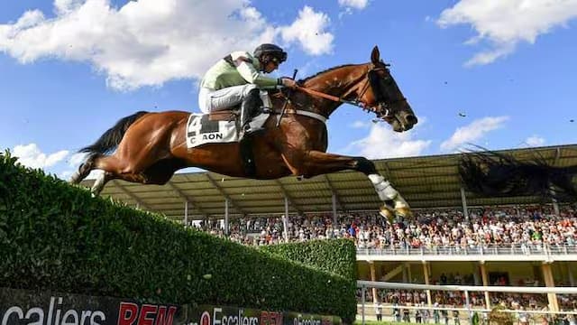 Three good reasons to go to the Trois Glorieuses this weekend in Craon