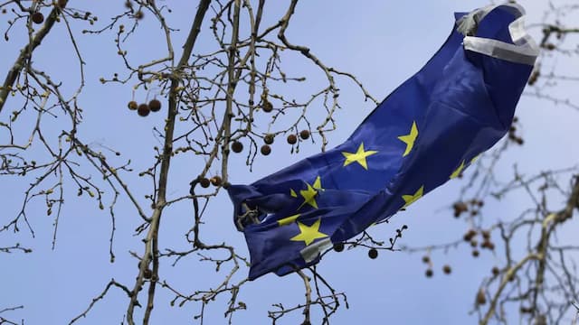 Europe’s Climate Progress Overshadowed by Worsening Loss of Nature