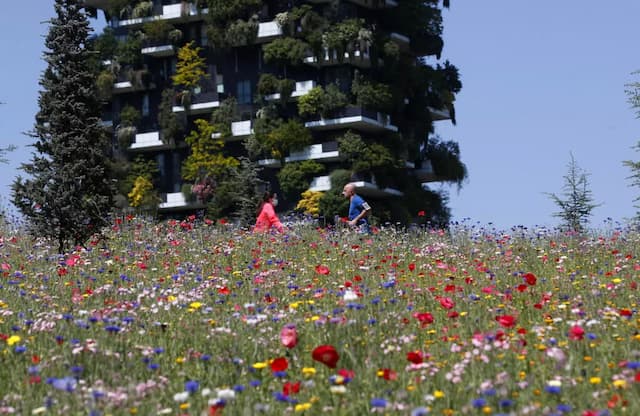 Europe’s Climate Progress Overshadowed by Worsening Loss of Nature 1