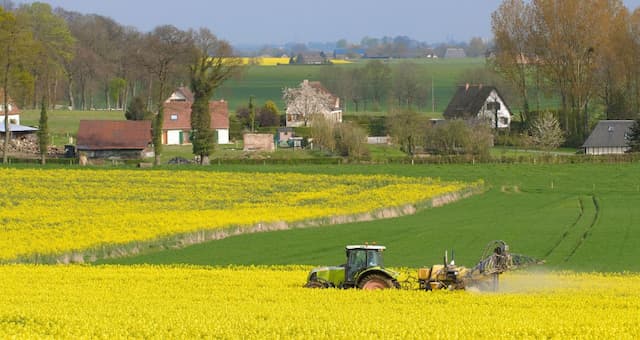 Hidden Danger: Banned Pesticides Still Linger in French Homes