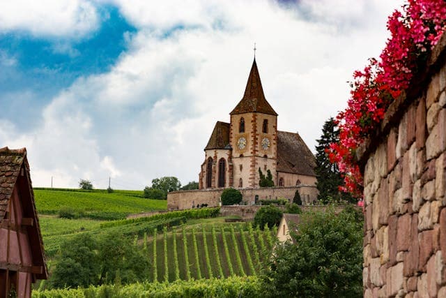 Rural Simplicity: Why More Expats Are Rediscovering the French Countryside