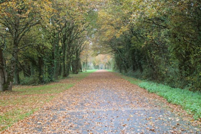 Weather in Châteaubriant: What Will the Weather Be Like This Weekend?