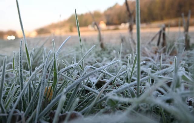 Will France Experience “Its Most Violent Winter” in Forty Years? Caution