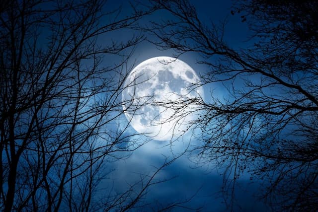 December 2025's Super Cold Moon: The Last of Its Kind Until 2042