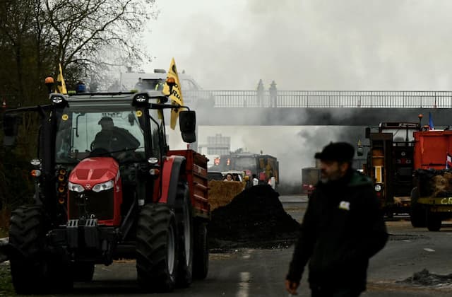 French Farmers Continue Protests Over DNC Cattle Disease Management