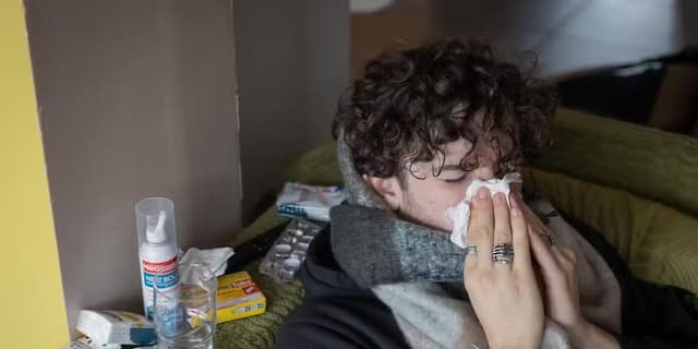 Flu epidemic in Nouvelle-Aquitaine - France on alert