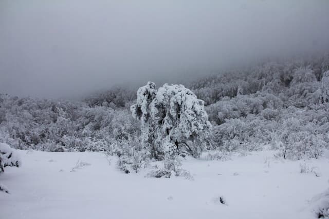 The weather forecast is for snow in Parts of France from Thursday