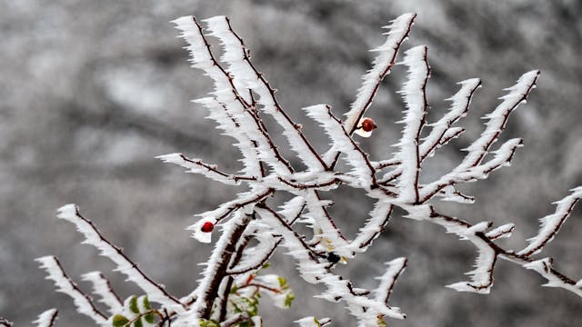 Snow, Ice and Power Cuts in France: A Practical Winter Checklist to Protect Your Home and Family