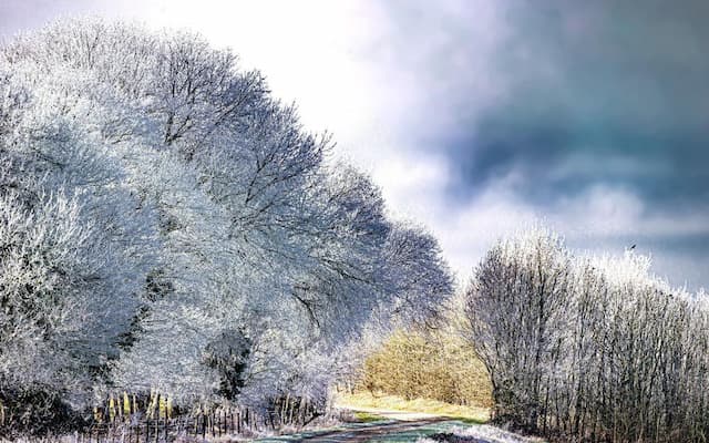 Glacial New Year in Charente: Heavy Frost, Sub-Zero Temperatures and What to Expect Next 3 Glacial morning in Charente!