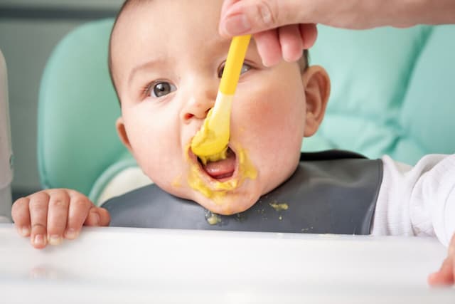 A baby puree sold at Leclerc, Carrefour and Auchan recalled