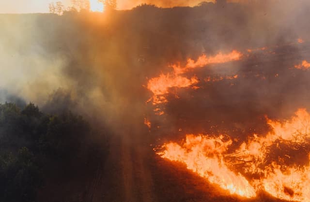 El Niño 2026: A Perfect Storm for Wildfires and Extreme Heat