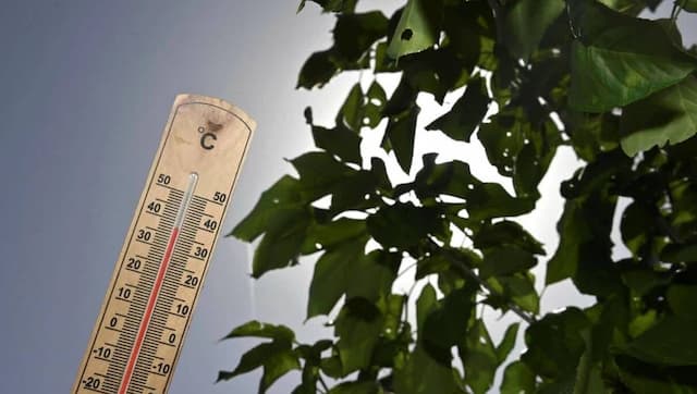 France Heatwave Alert: 40°C Temperatures Loom