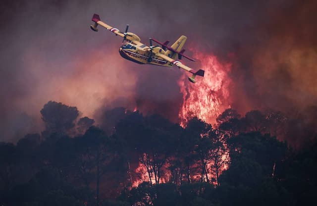 Massive wildfires in France and Spain force 325,000 evacuations. Bordeaux at risk as heatwaves worsen Europe’s climate crisis.