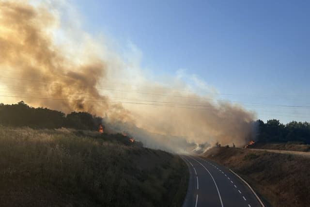 Due to the wind, the fire, which started on the right side of the road, spread to the left side. ©Sand Journal