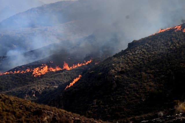 France Under Siege: 24 Departments Handed Red Alert as Severe Heatwave and Wildfires Rage