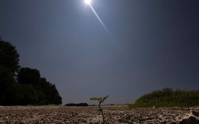 An "Already Historic Drought" as the Heatwave Returns 5 Water restrictions across France as Heatwaves affect supply