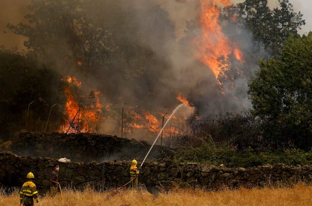 Massive evacuations due to wildfires in France