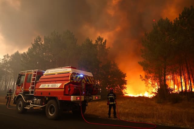 More than 6,000 hectares were destroyed by flames in Gironde and Landes.