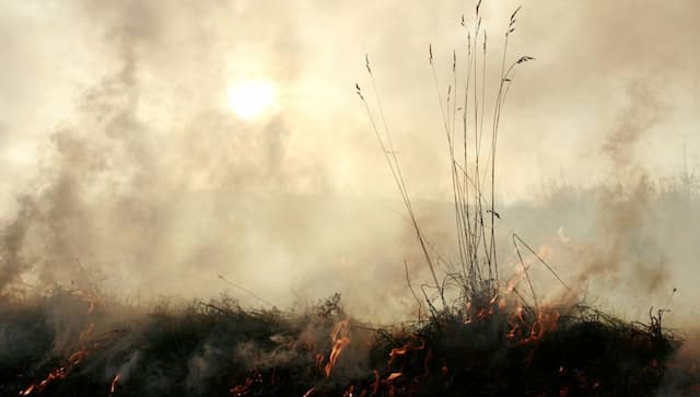 Potentially record breaking year for temperatures