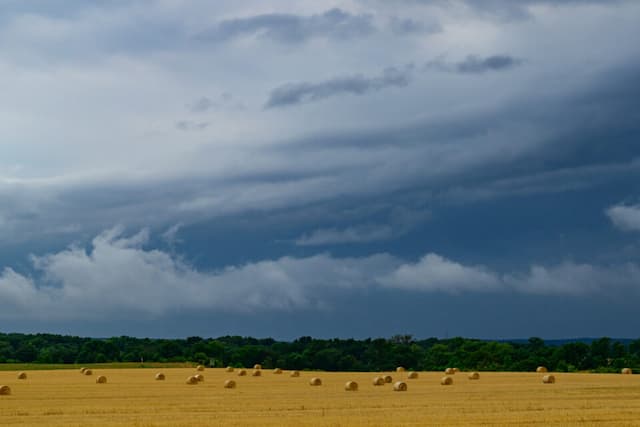 Thunderstorms, Wind and still this Orange Heatwave Vigilance: the Departments on Alert this Wednesday 3 Thunderstorms, wind and still this orange heatwave vigilance: the departments on alert this Wednesday