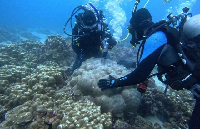 Climate Change Is Supercharging El Niño: What It Means